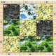Gra planszowa MINECRAFT BUILDERS BIOMES Edycja PL