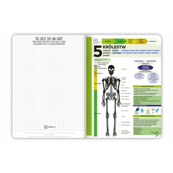 Zeszyt tematyczny BIOLOGIA A5 60 + ŚCIĄGA
