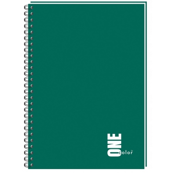 Kołozeszyt A4 100 kratka kołonotatnik one color