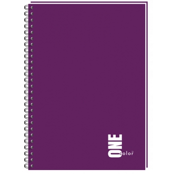 Kołozeszyt A4 100 kratka kołonotatnik one color