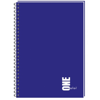 Kołozeszyt A4 100 kratka kołonotatnik one color