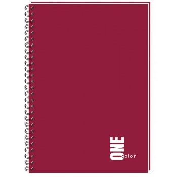 Kołozeszyt A4 100 kratka kołonotatnik one color
