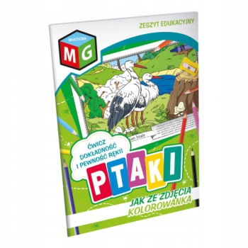 Kolorowanka PTAKI kolorowanki zeszyt edukacyjny
