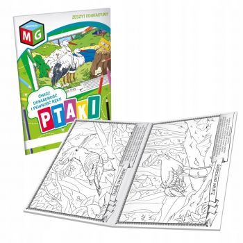 Kolorowanka PTAKI kolorowanki zeszyt edukacyjny